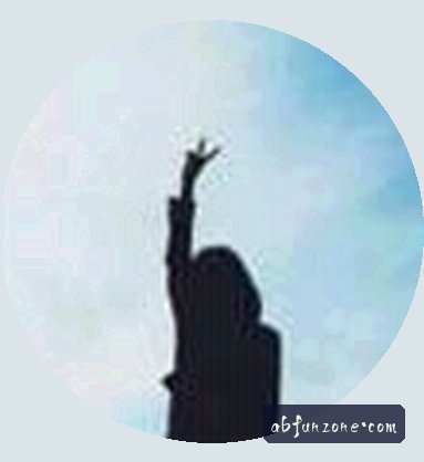 陈总